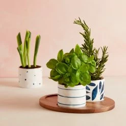 Flash Sale 😉 Lenox Blue Bay™ 4pc Snack Bowl & Tray Set 🌟 -lenox Sales Store 890207 LNP S21 FEA 3