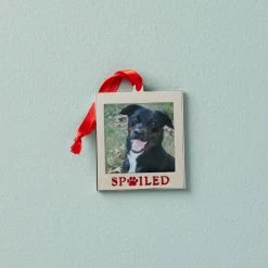 Buy 👏 Lenox Spoiled Pet Frame Ornament 🌟
