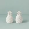 Coupon 🛒 Lenox Wicker Creek Pineapple Salt & Pepper Set 🎉 -lenox Sales Store 893879 w10