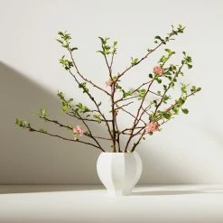 Promo π Lenox Facets Curvy Vase β€οΈ 12 Promo π Lenox Facets Curvy Vase β€οΈ -lenox Sales Store 894726 LNP F22 FEA 2